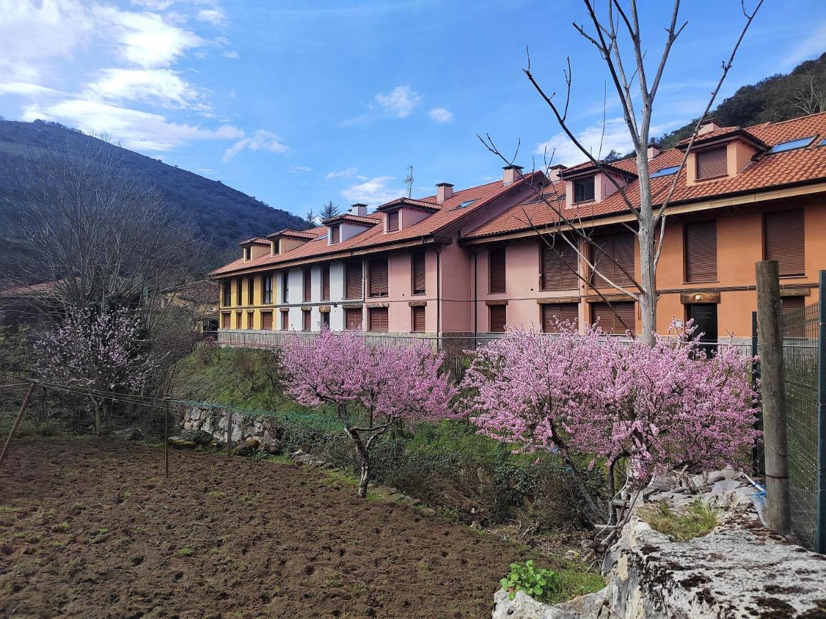 Cabrales Sol Apartment Carrena de Cabrales Exterior photo